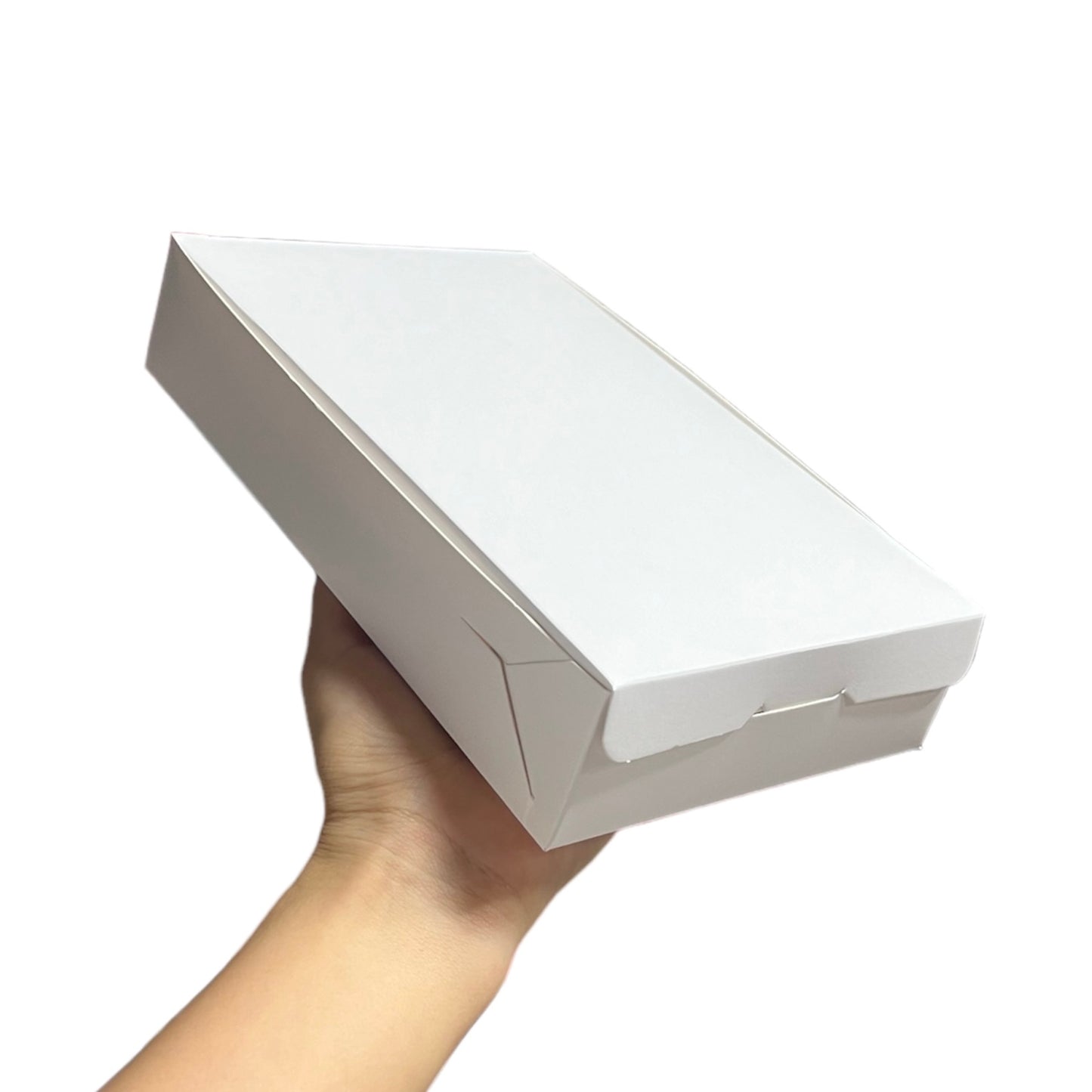 SIB1 - Caja 22x13x4.5cm sin visor