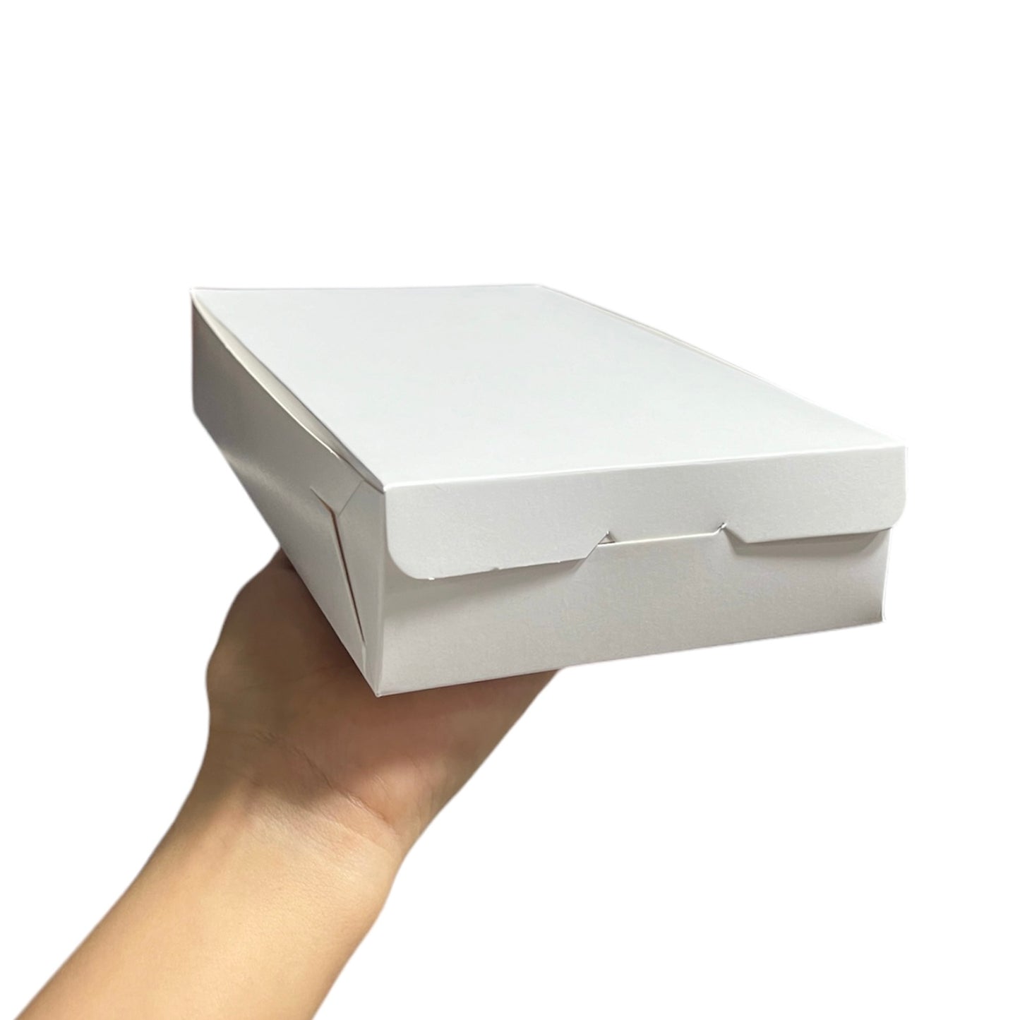SIB1 - Caja 22x13x4.5cm sin visor