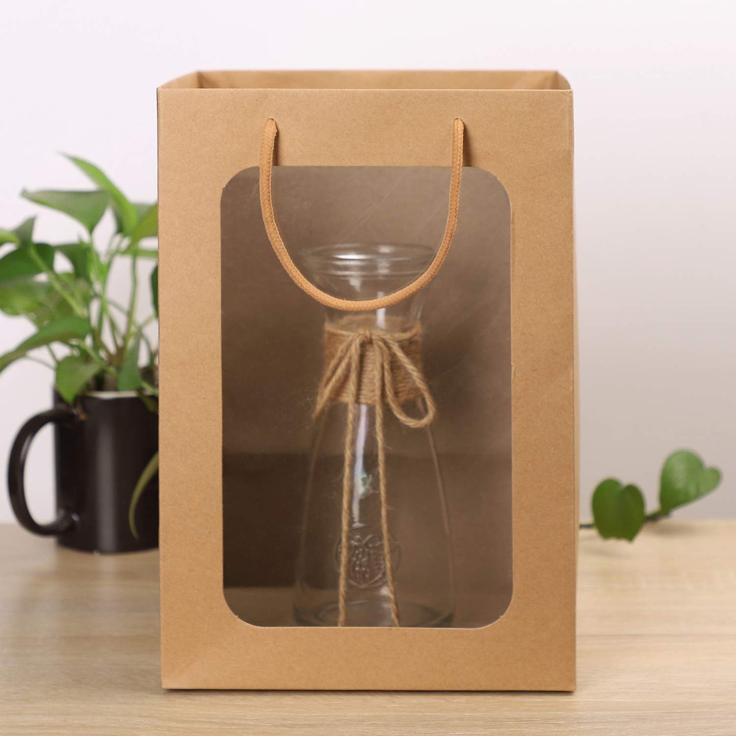 Bolsa Kraft c/ Visor - 20x16x30cm