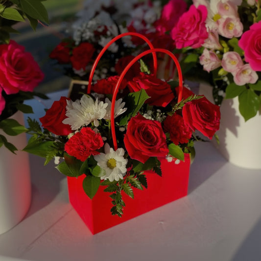 BOLSA COREANA ROJO 22x11x14cm - CNBAG3.2