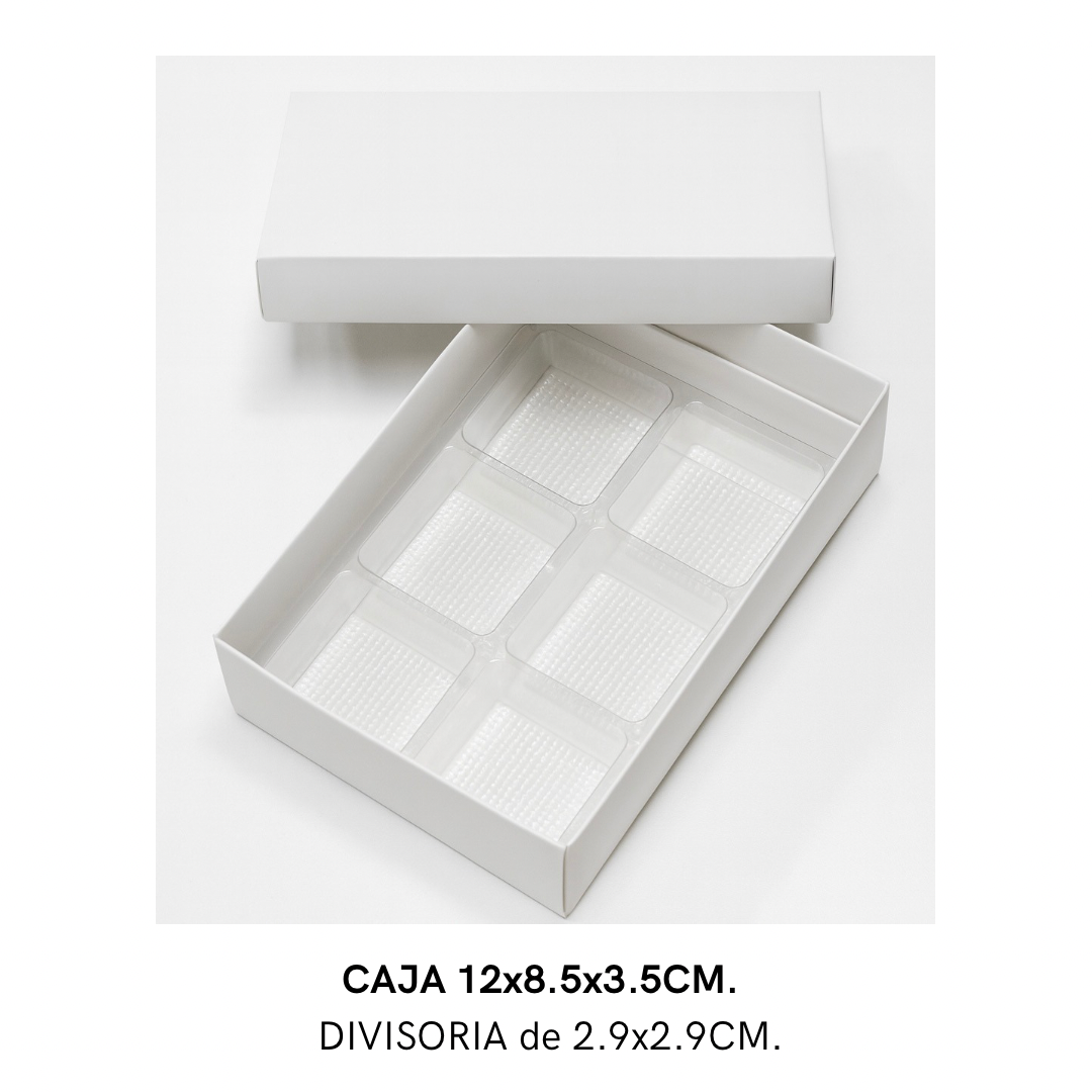 BLISTER 2.9X2.9CM CON 100 CAVIDADES TRANSPARENTE - COD 1139