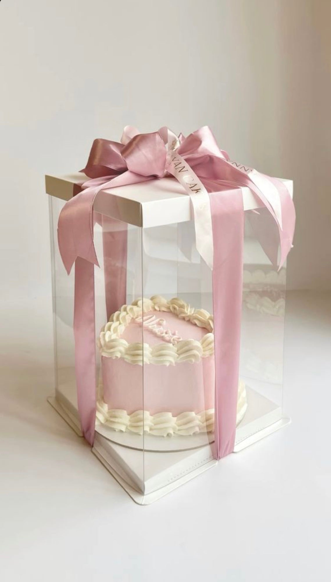 CAJA 26x26x24cm TRANSPARENTE