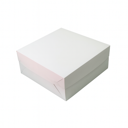 Caja 25x25x10cm - TAR10SV