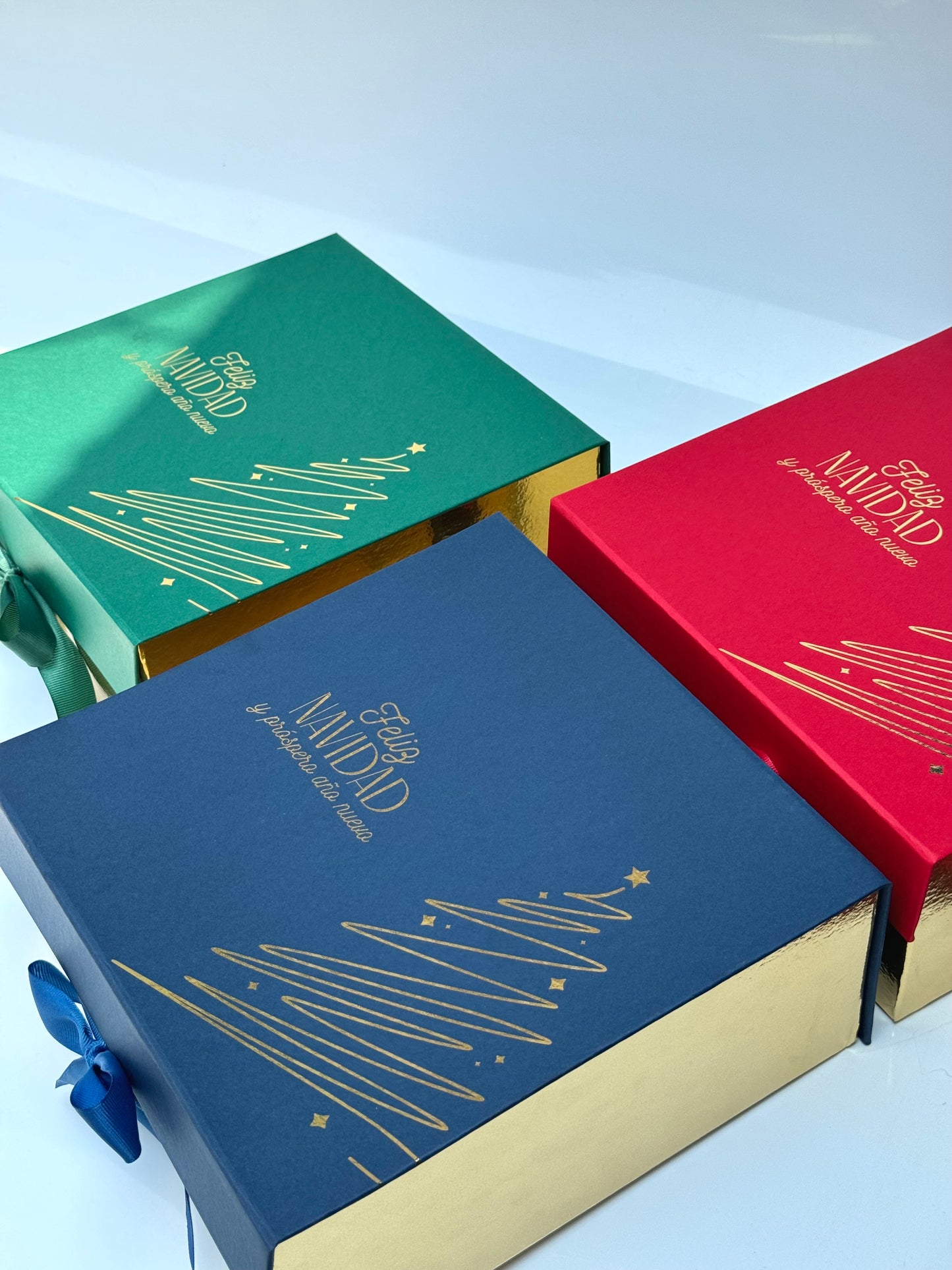 Caja Premium Navidad - 24x24x10cm