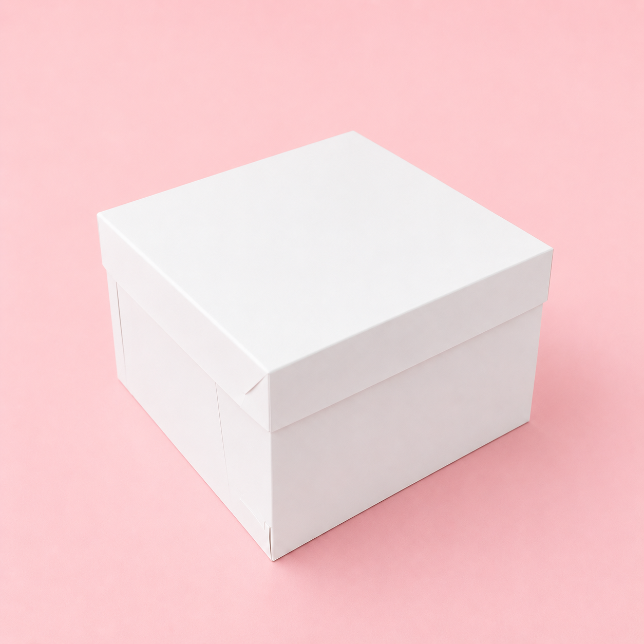CAJA 25x25x15cm