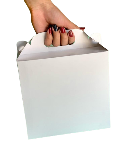 Caja 21x11.5x19cm Tipo Bolso T21 - 639264