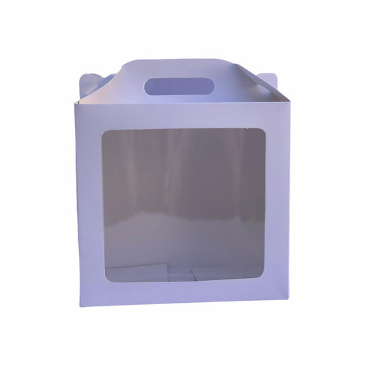 Caja 21x11.5x19cm Tipo Bolso - T21V