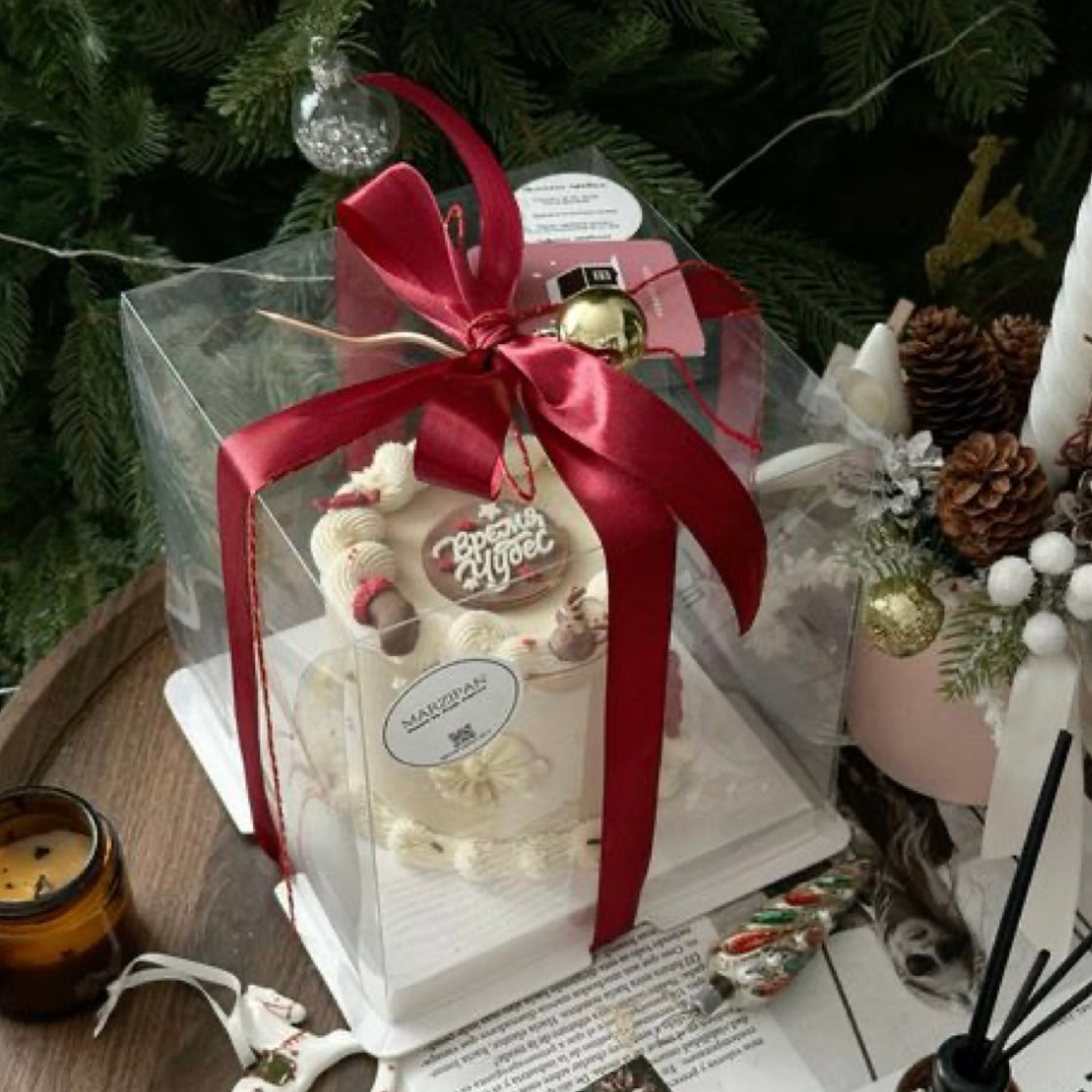 CUADRADA 18X18X28CM TAPA TRANSPARENTE - COD 642315