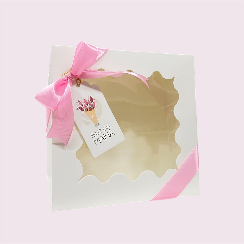 CAJA 20x20x5cm CON VISOR - COD 642116