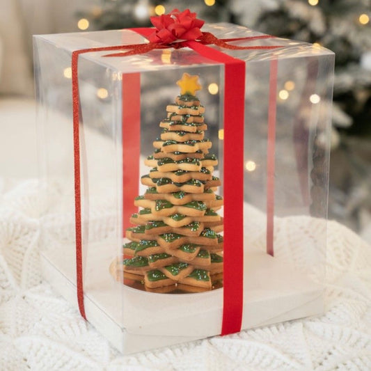 CUADRADA 18X18X28CM TAPA TRANSPARENTE - COD 642315