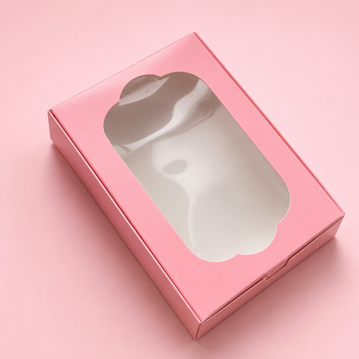 CAJA 20x14x3,5cm CON VISOR - SIB3