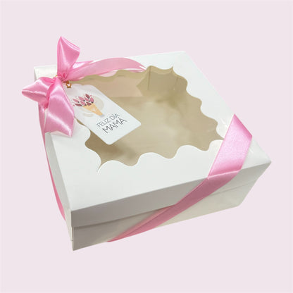 CAJA 20x20x8.5cm CON VISOR
