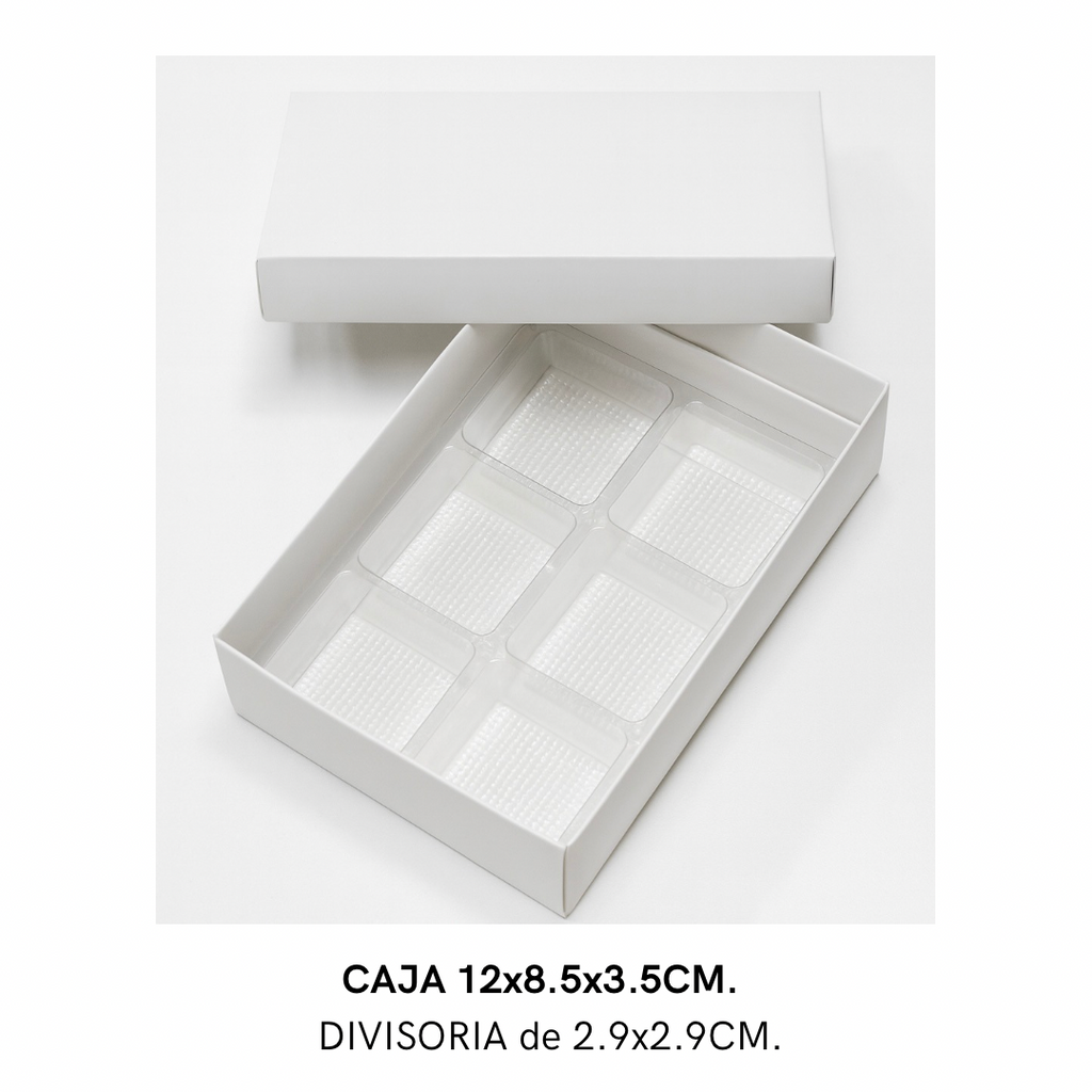 BLISTER 2.9X2.9CM CON 100 CAVIDADES TRANSPARENTE - COD 1139