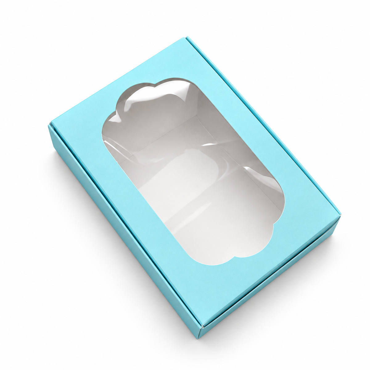 CAJA 20x14x3,5cm CON VISOR - SIB3