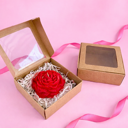 CAJA 11x11x4cm CON VISOR KRAFT - 641380