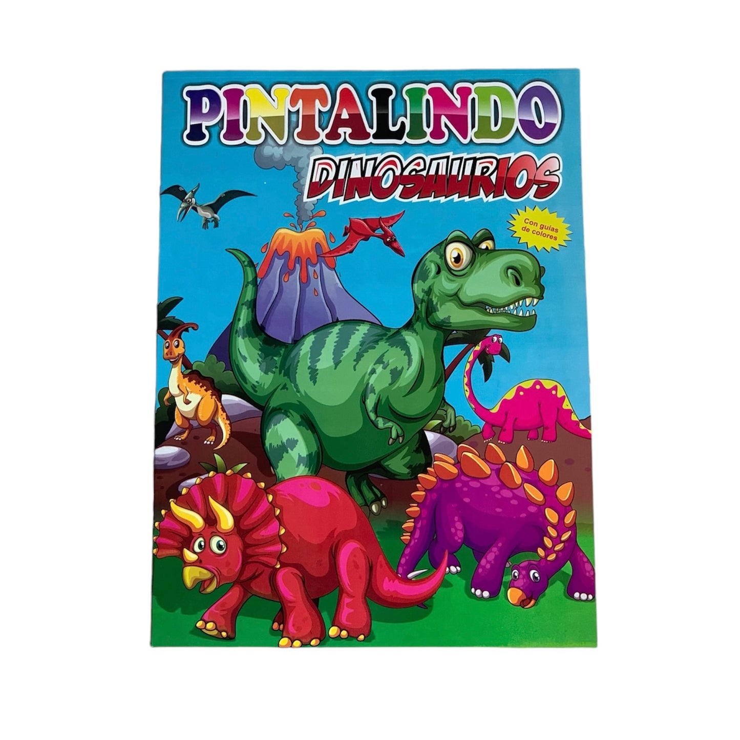 Dinosaurios 1 Libro (Grande) Pintalindo