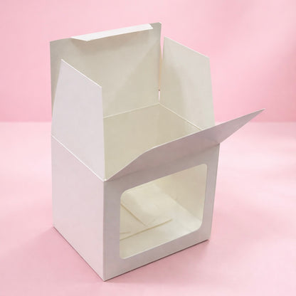 CAJA 11x8x10cm CON VISOR - TZ1