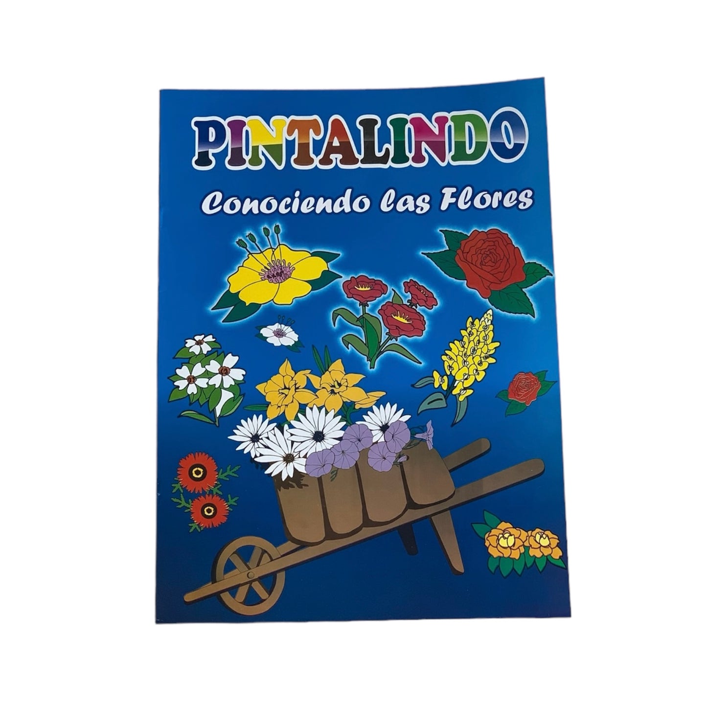 Flores Libro (Grande) Pintalindo