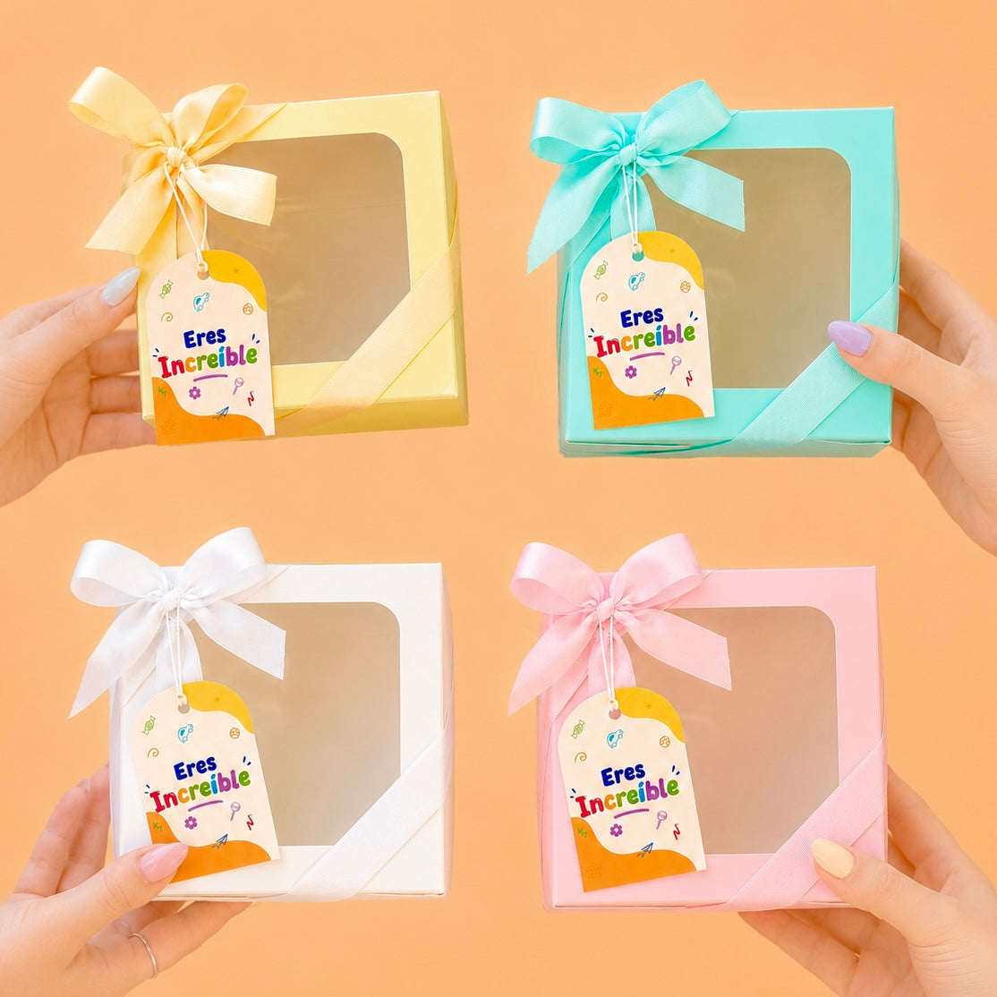 CAJA 12X12X6.5CM CON VISOR