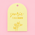 Tags “sonríe te va a encantar” contiene 10 unidades - 640321