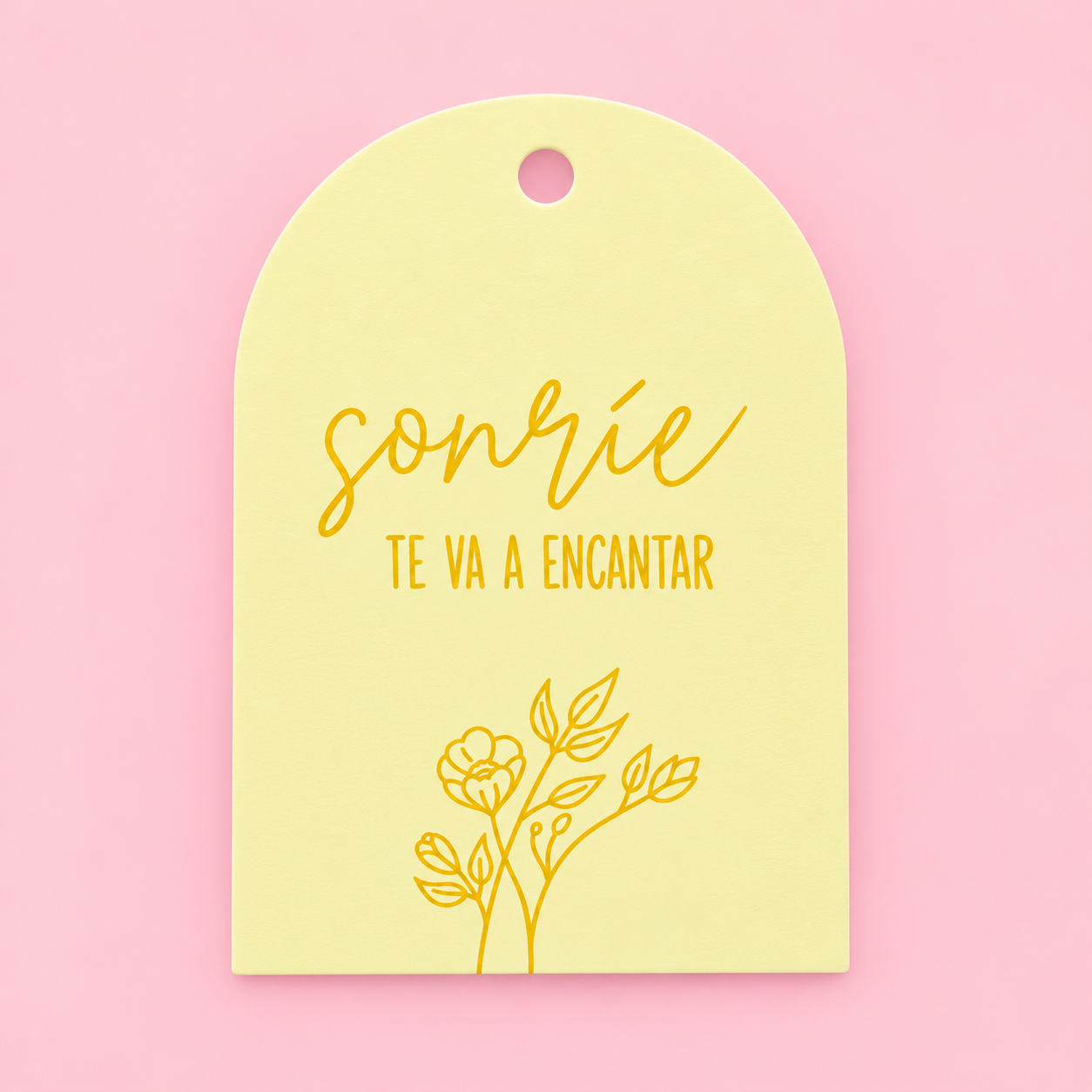 Tags “sonríe te va a encantar” contiene 10 unidades - 640321