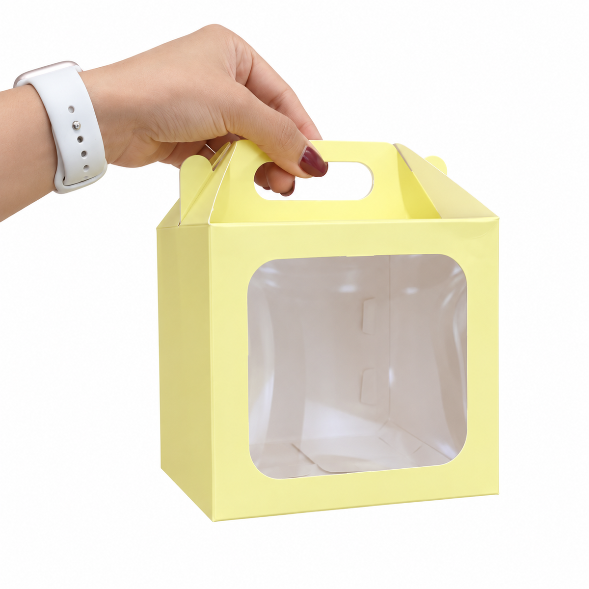 CAJA 12x11x11 CON VISOR - 640762