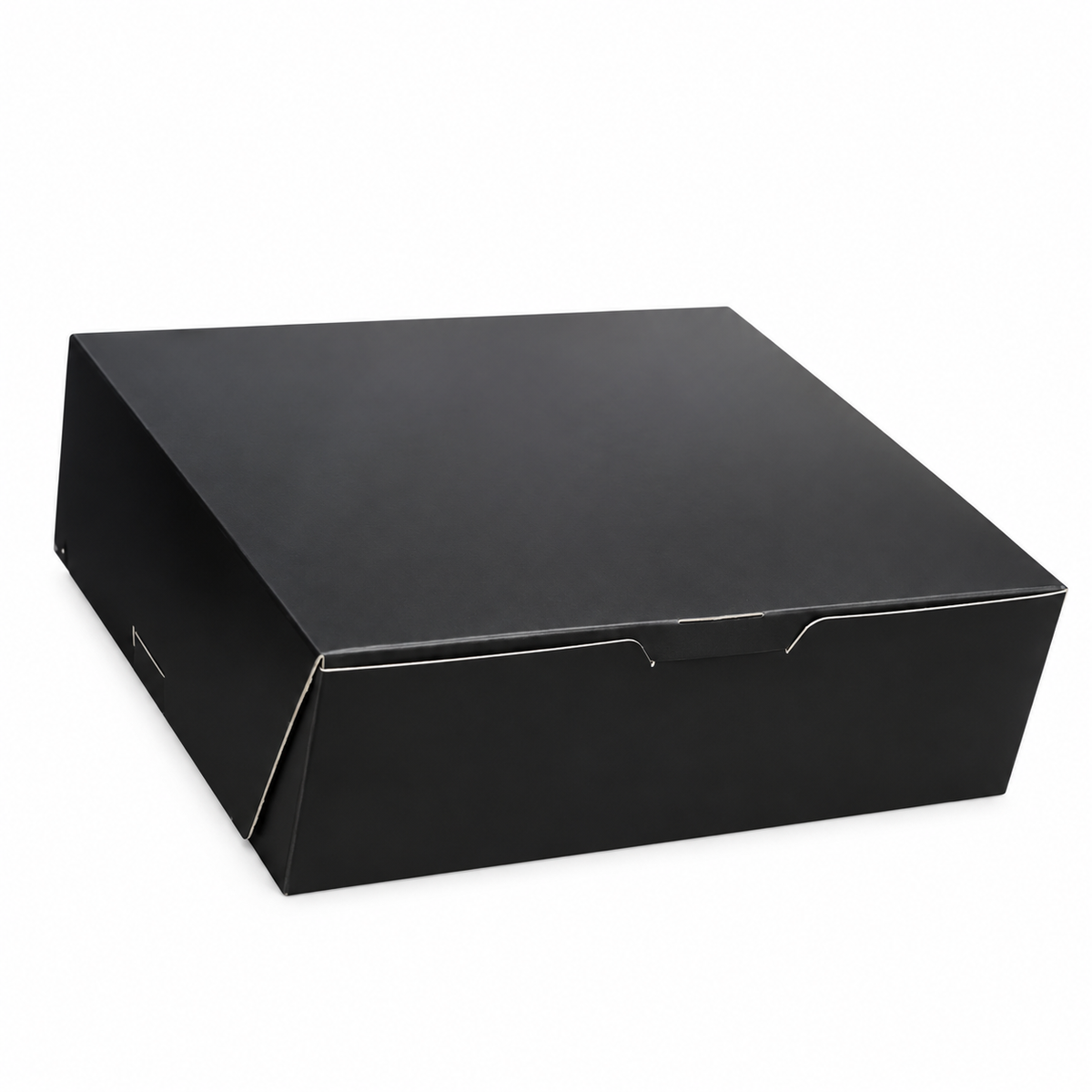 Caja 23x17x7cm Mate Negro - 642101