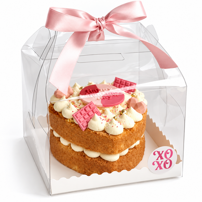 CAJA 13X13X12cm CON MANIJA