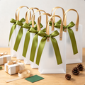 Bolsa Kraft PP Bag 17x11x23cm - 642973