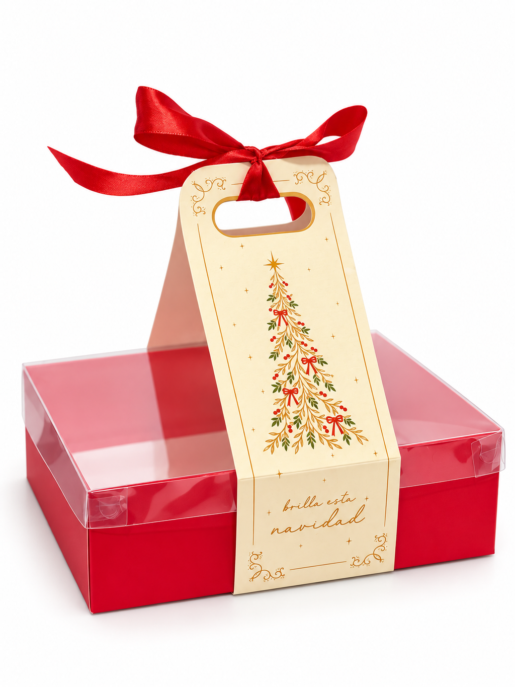 CAJA 23X17X7CM DOBLE PARED NAVIDAD