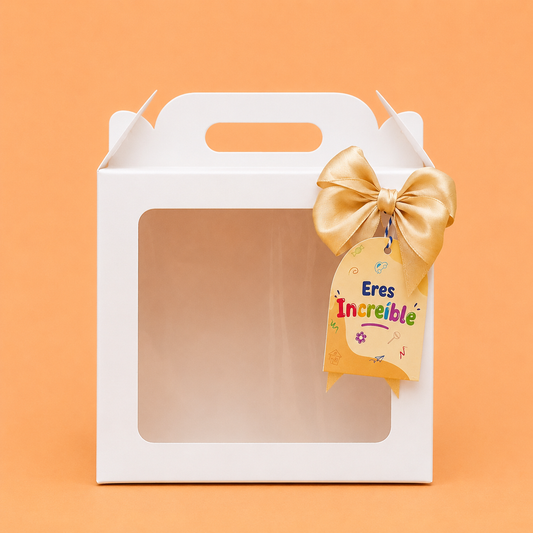 Caja 21x11.5x19cm Tipo Bolso - T21