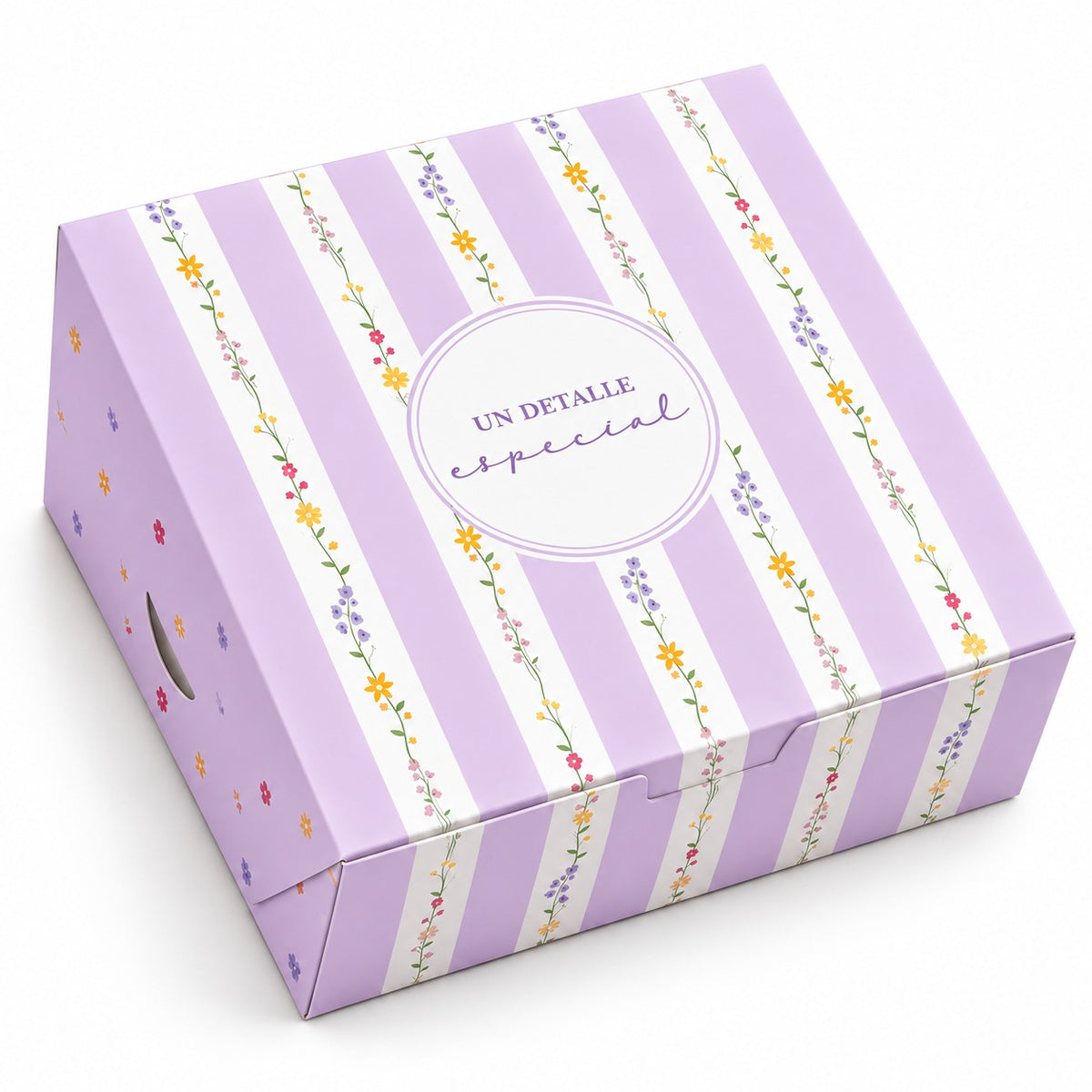 CAJA 20x20x7cm- 643305