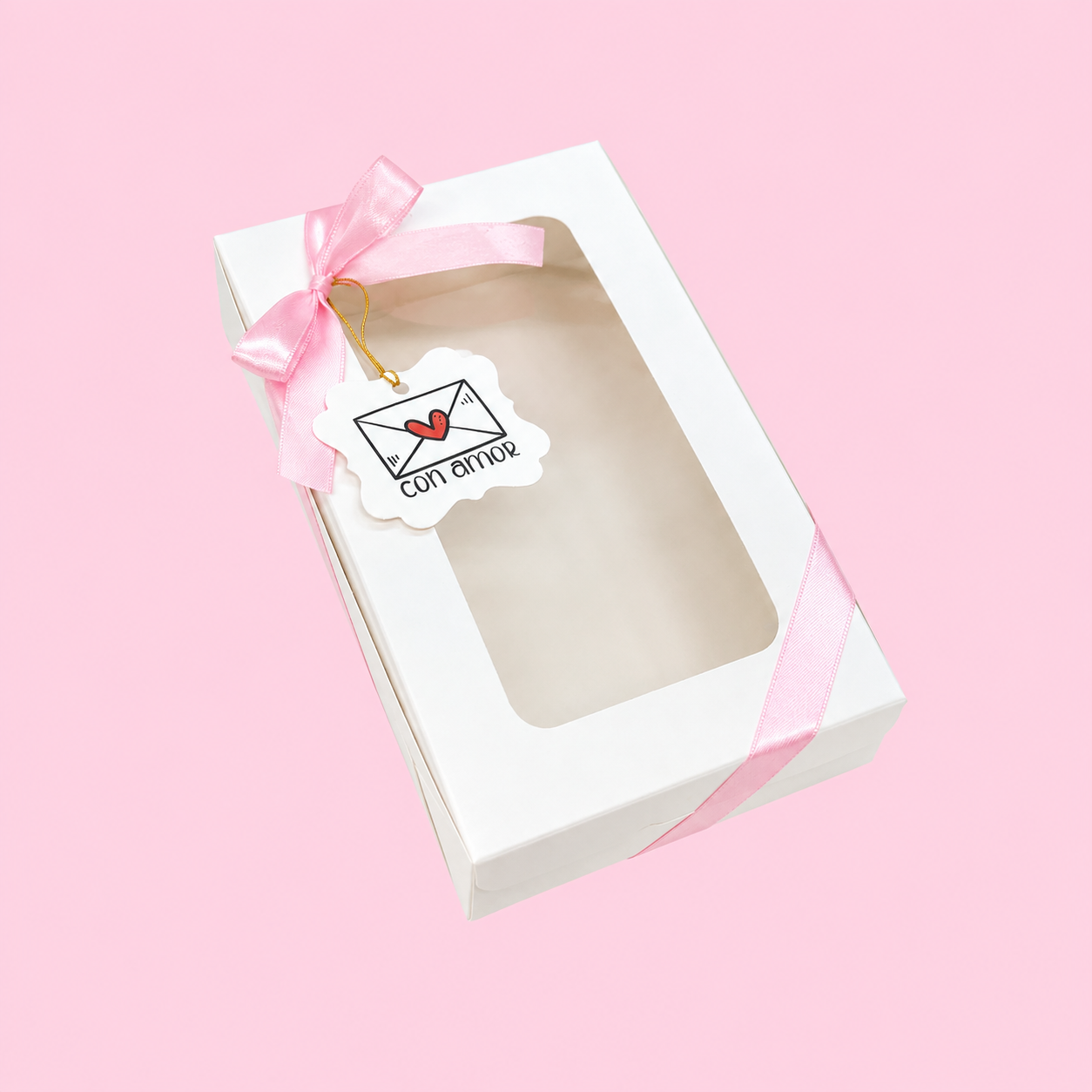 CAJA 22x13x4,5cm CON VISOR - SIB2
