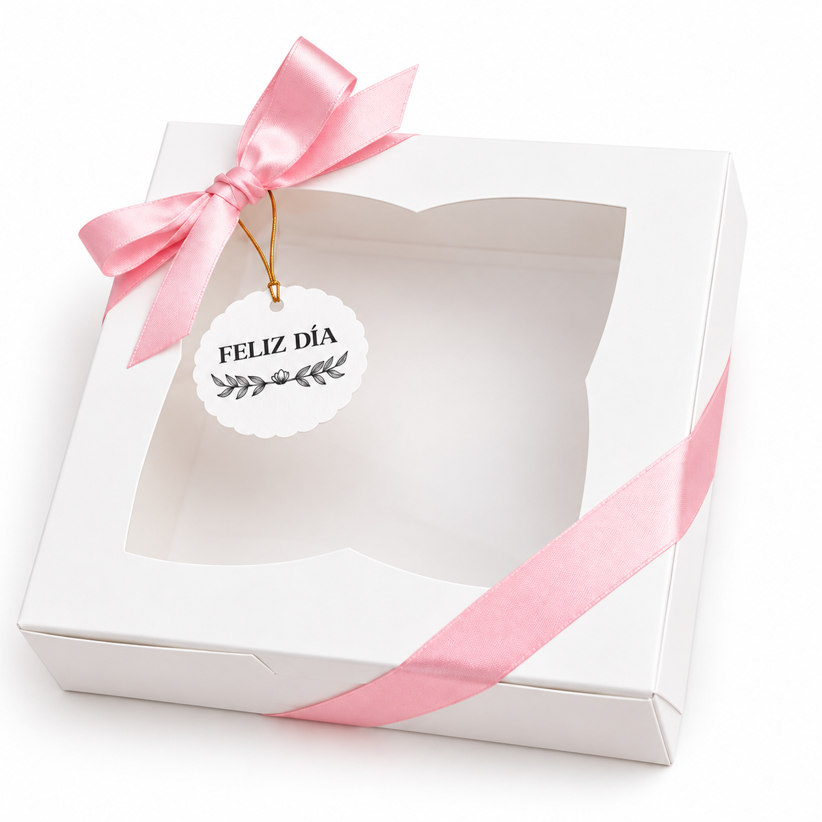 Caja 22x22x7cm con visor - 642471