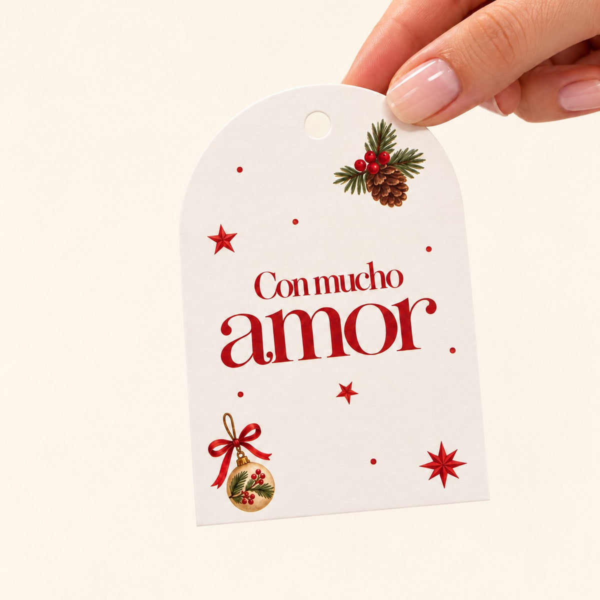 Tags Navidad Rojo ´´Con mucho amor¨ (10 und)