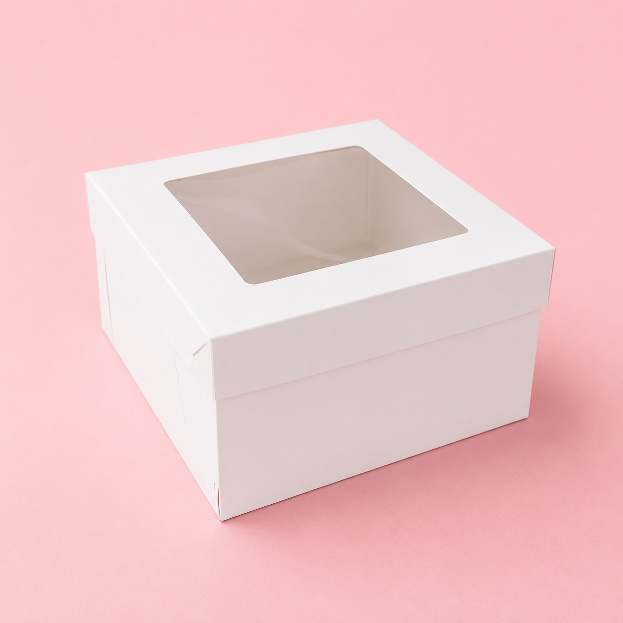 CAJA 25x25x15cm CON VISOR