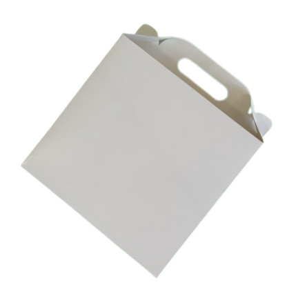 Caja 21x11.5x19cm Tipo Bolso - T21